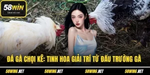 đá gà chọi kê