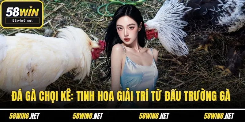 đá gà chọi kê