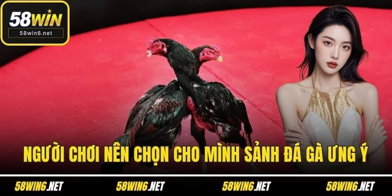 Người chơi nên chọn cho mình sảnh đá gà ưng ý